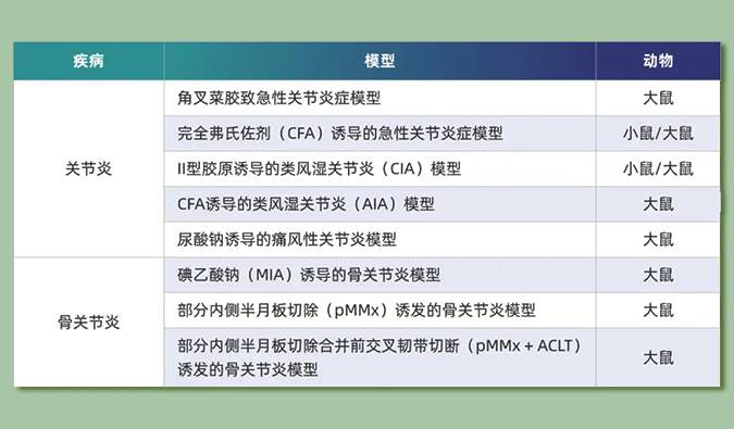 世界关节炎日：突破上亿人的共同难关，持续探索关节炎新药