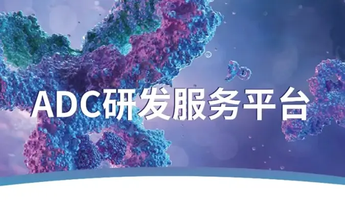 一文读懂：抗体偶联药物（ADC）