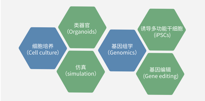 六大技术板块已上线，持续升级中.jpg