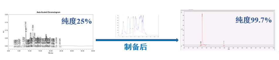 案例一：仿制药发补：大极性杂质制备.jpg