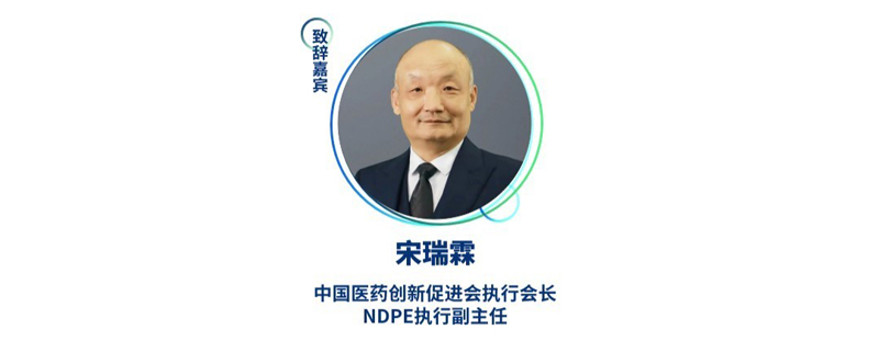 宋瑞霖--中国医药创新促进会执行会长、NDPE执行副主任.jpg