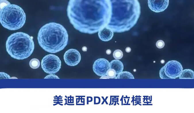 pg电子官网118种PDX原位模型，助力肿瘤药物研发